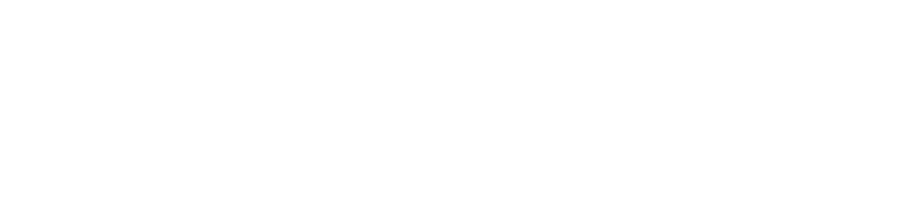 MONICASE
